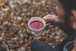 What is Rooibos, you ask?